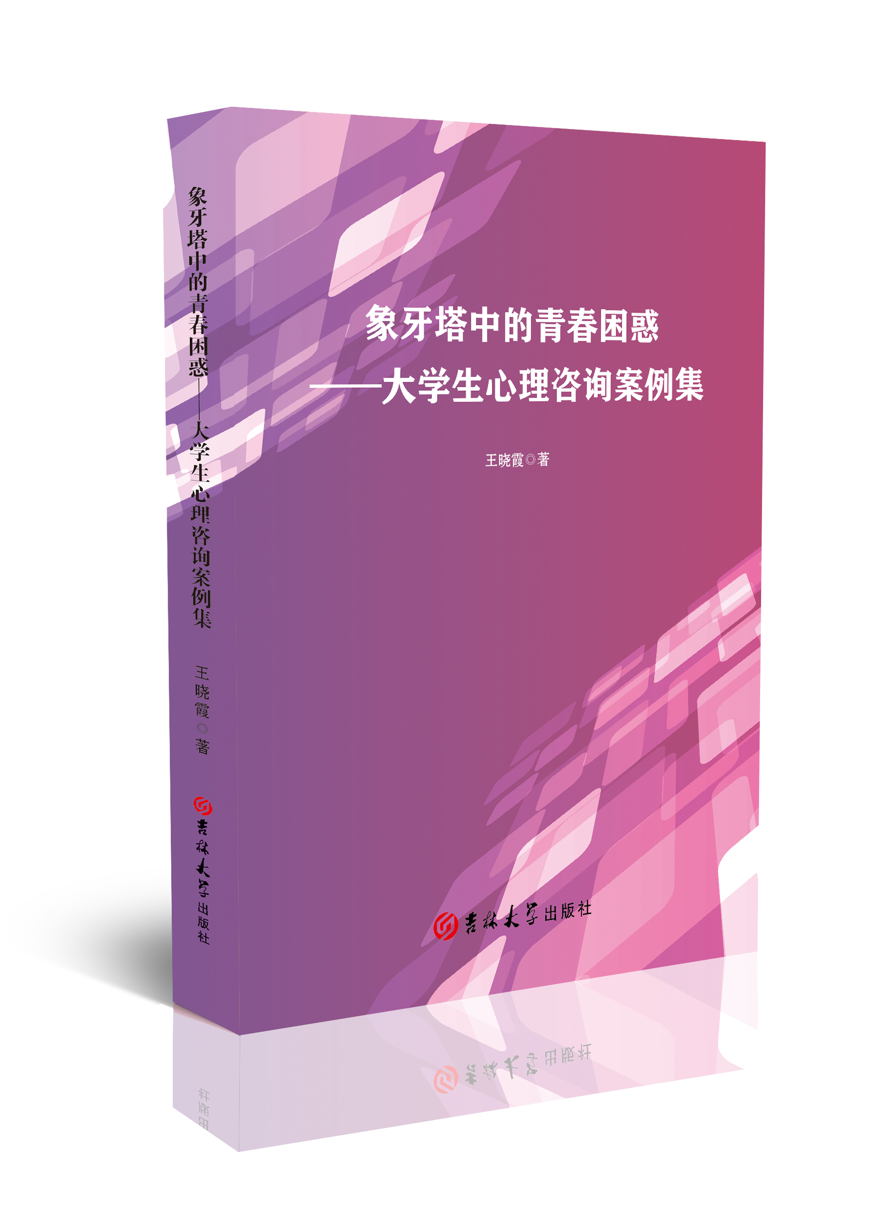 象牙塔中的青春困惑：大学生心理咨询案例集
