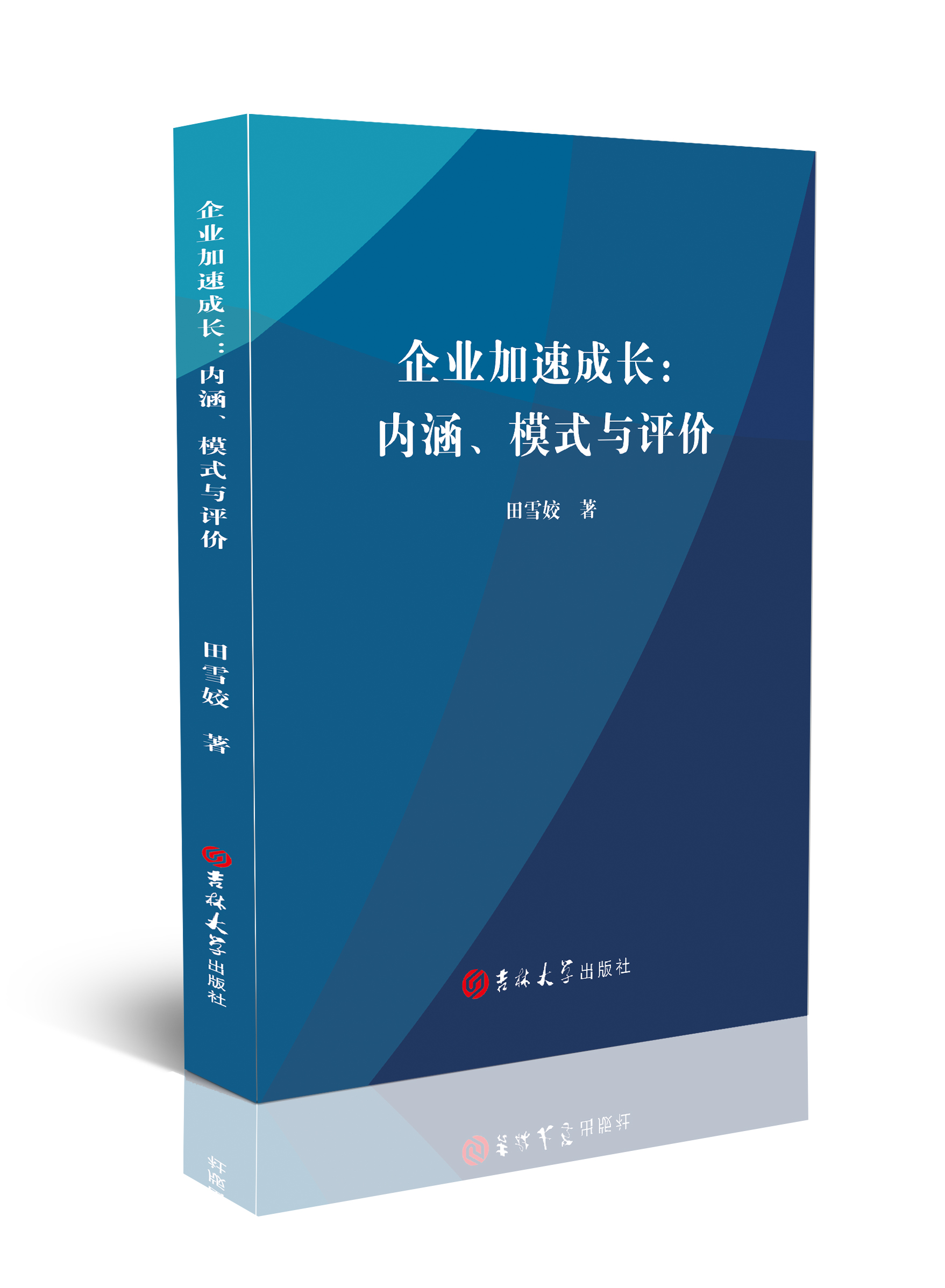 企业加速成长 : 内涵、模式与评价