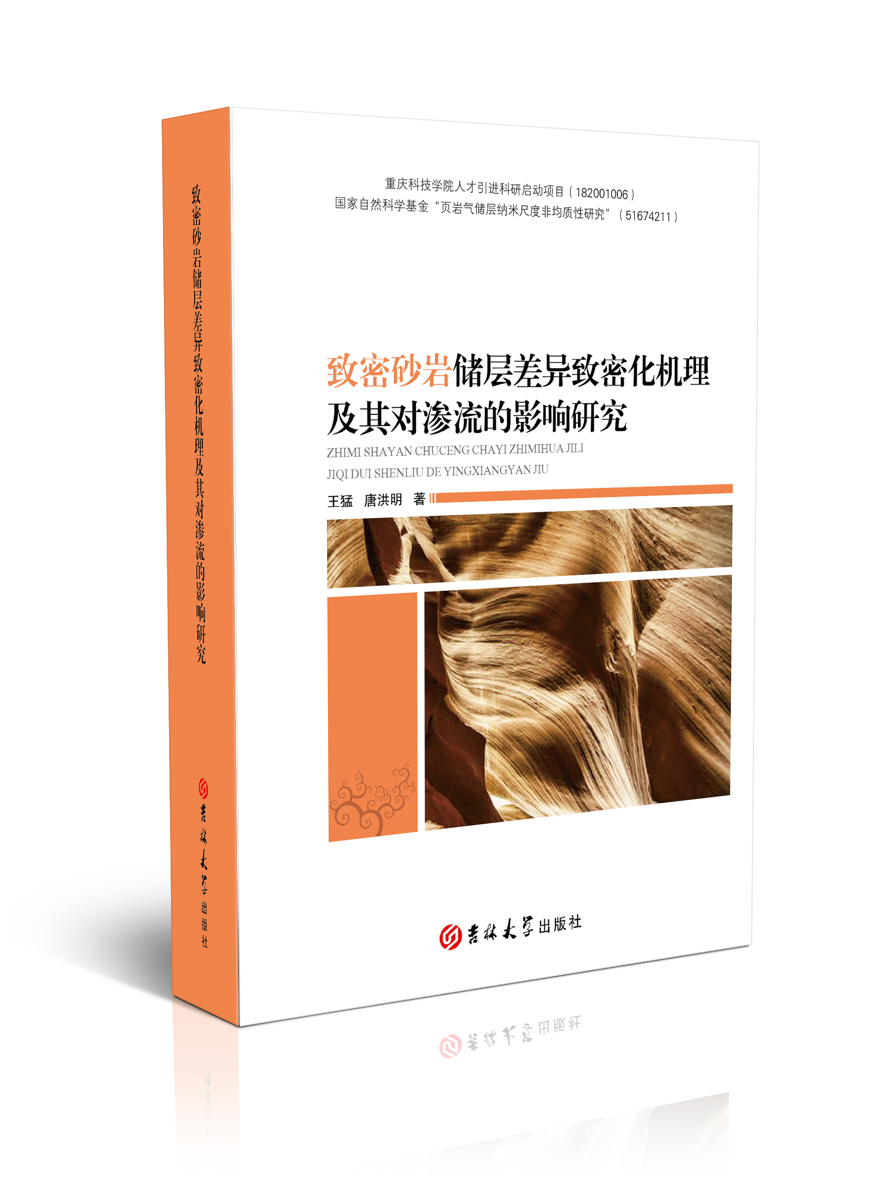 致密砂岩储层差异致密化机理及其对渗流的影响研究