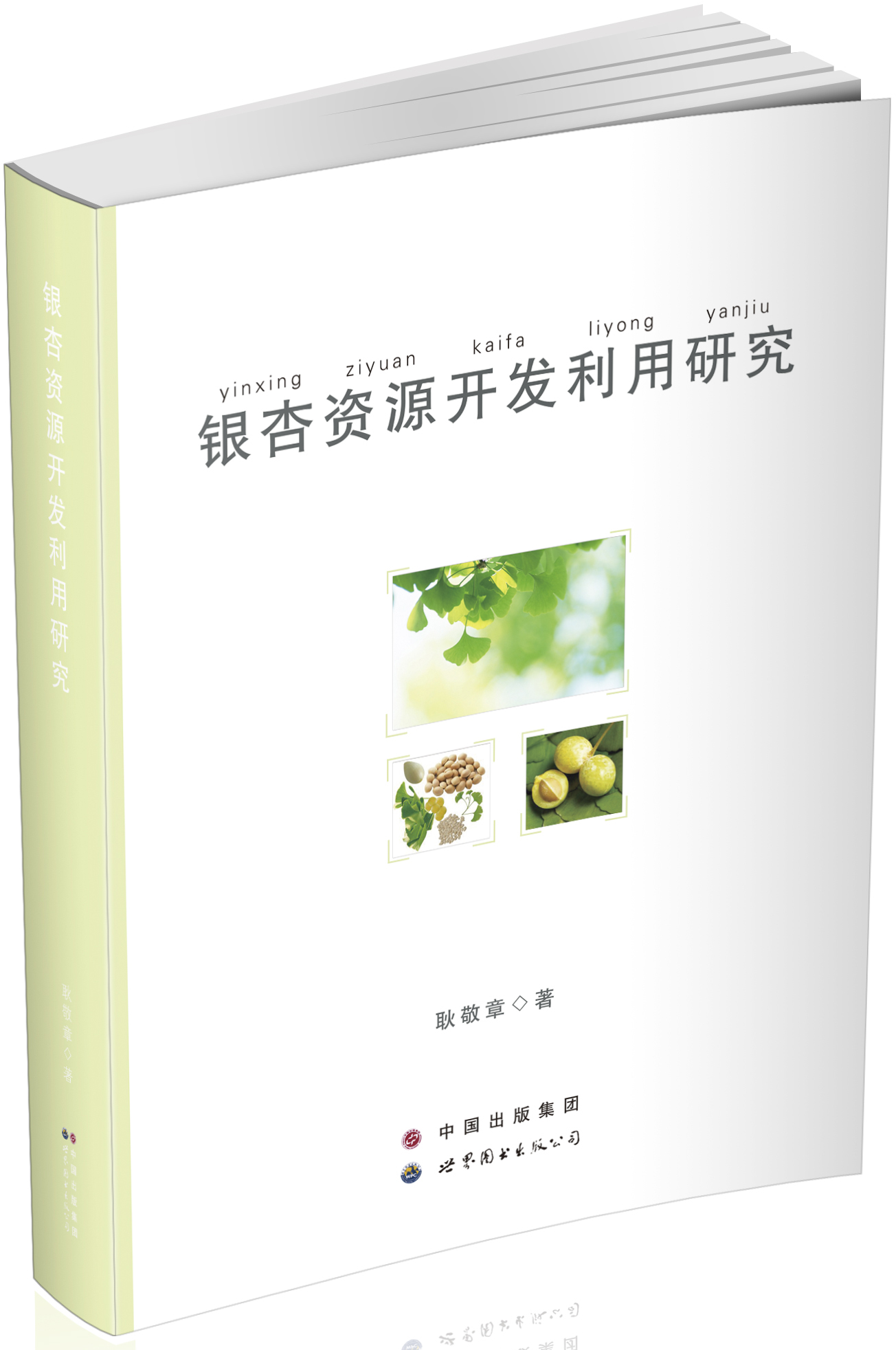 银杏资源开发利用研究