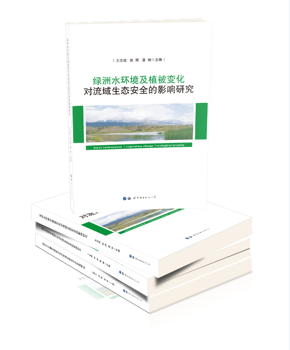 绿洲水环境及植被变化对流域生态安全的影响研究